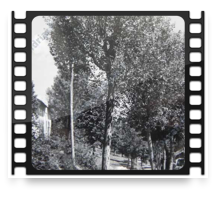 collage image title