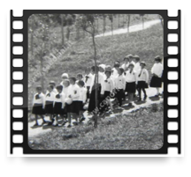 collage image title