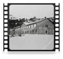 collage image title