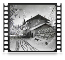 collage image title
