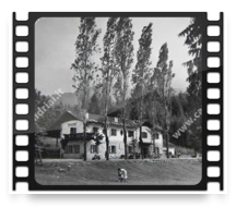 collage image title