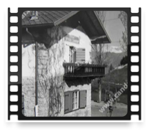 collage image title