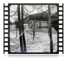 collage image title