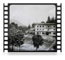 collage image title