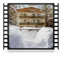 collage image title