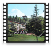 collage image title
