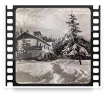 collage image title