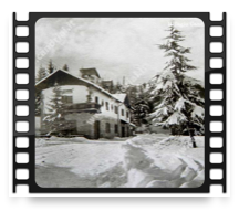collage image title
